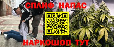 каннабис Бийск