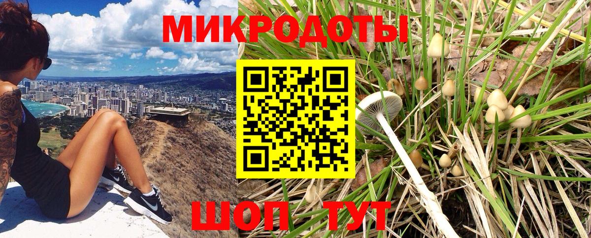 Псилоцибиновые грибы MAGIC MUSHROOMS Видное