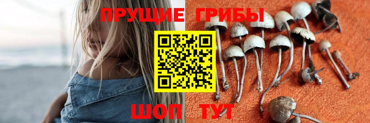 продажа наркотиков  Псилоцибиновые грибы мухоморы  Вход с VPN  Видное 